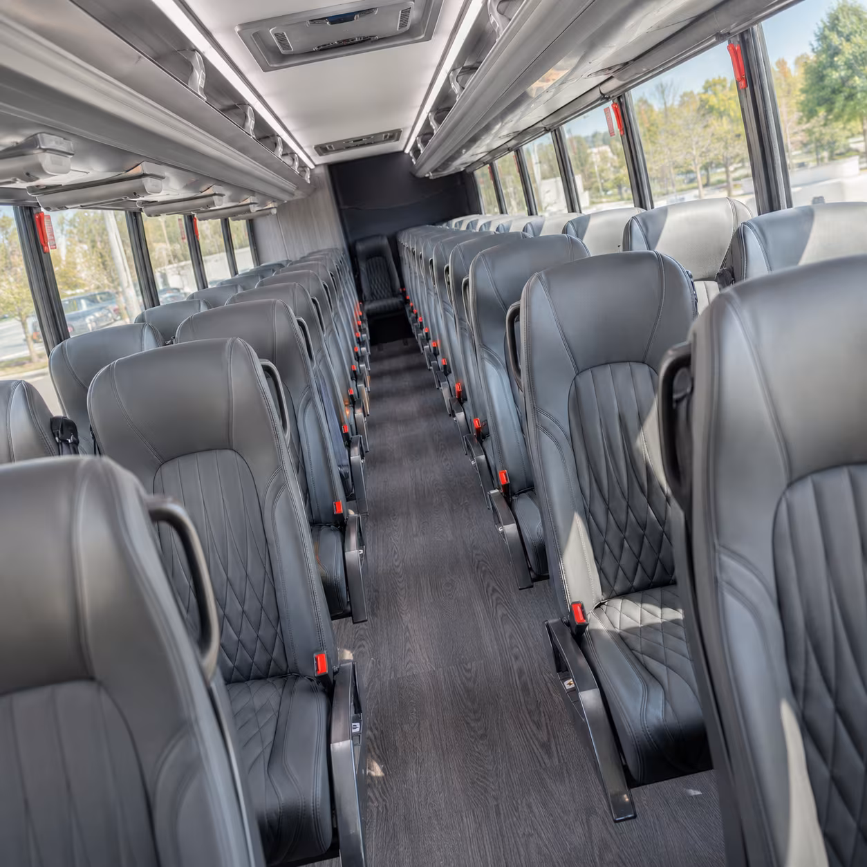 Colorado Springs School Event Transportation party bus exterior